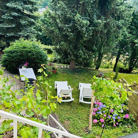 Apartamento Luftkurort, Perle Des Neckartals Hirschhorn Exterior foto