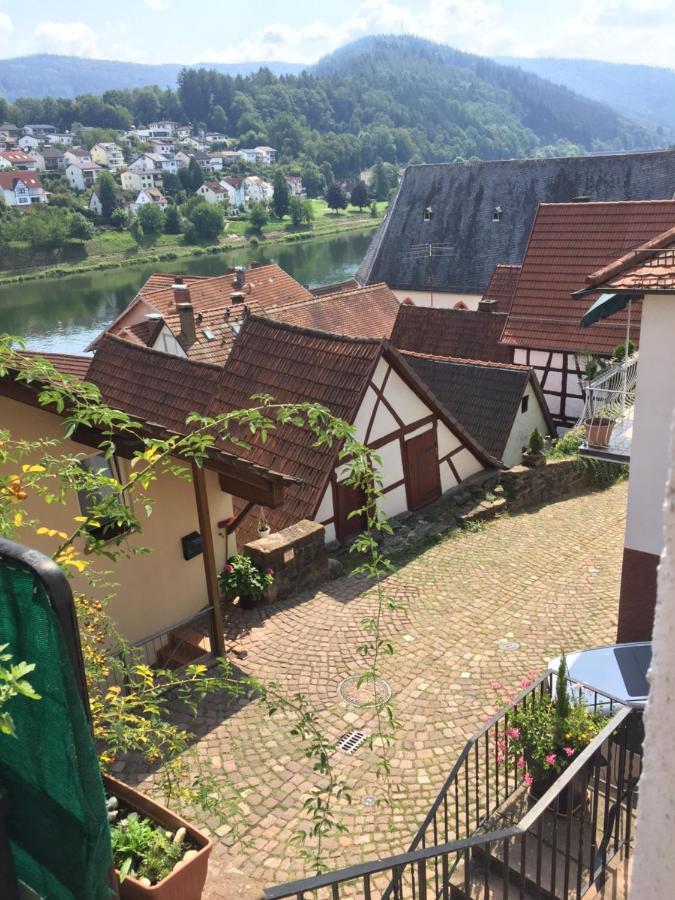 Apartamento Luftkurort, Perle Des Neckartals Hirschhorn Exterior foto