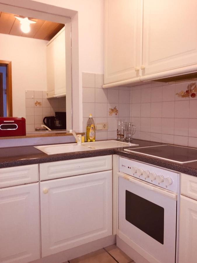 Apartamento Luftkurort, Perle Des Neckartals Hirschhorn Exterior foto