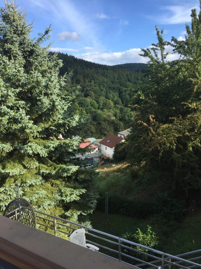 Apartamento Luftkurort, Perle Des Neckartals Hirschhorn Exterior foto