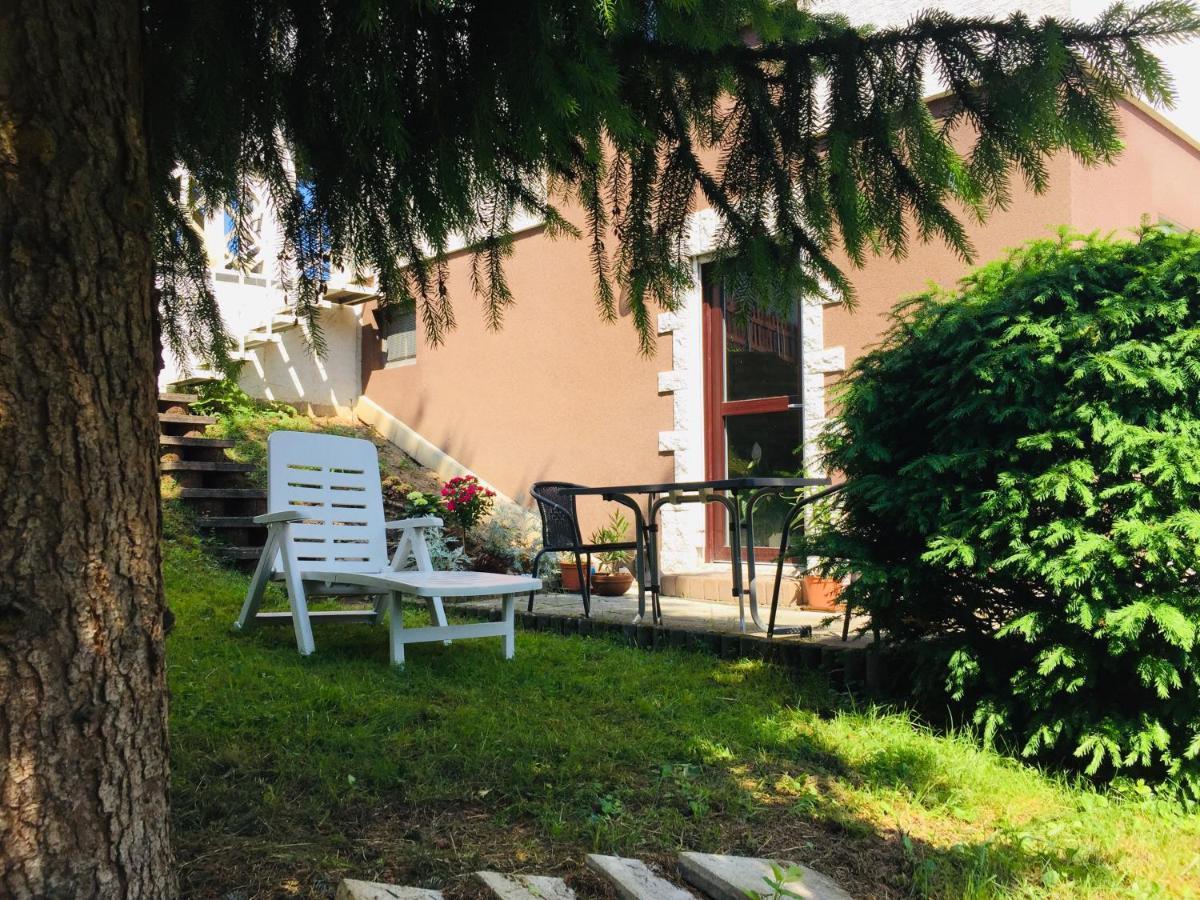 Apartamento Luftkurort, Perle Des Neckartals Hirschhorn Exterior foto