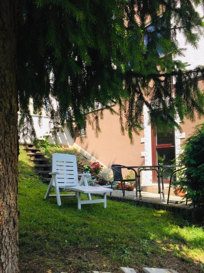 Apartamento Luftkurort, Perle Des Neckartals Hirschhorn Exterior foto
