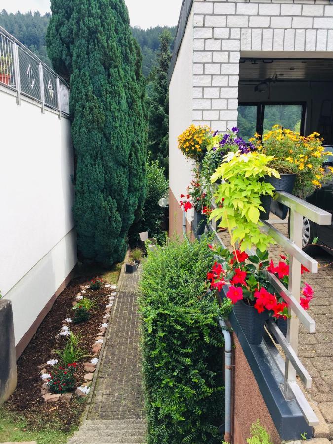 Apartamento Luftkurort, Perle Des Neckartals Hirschhorn Exterior foto