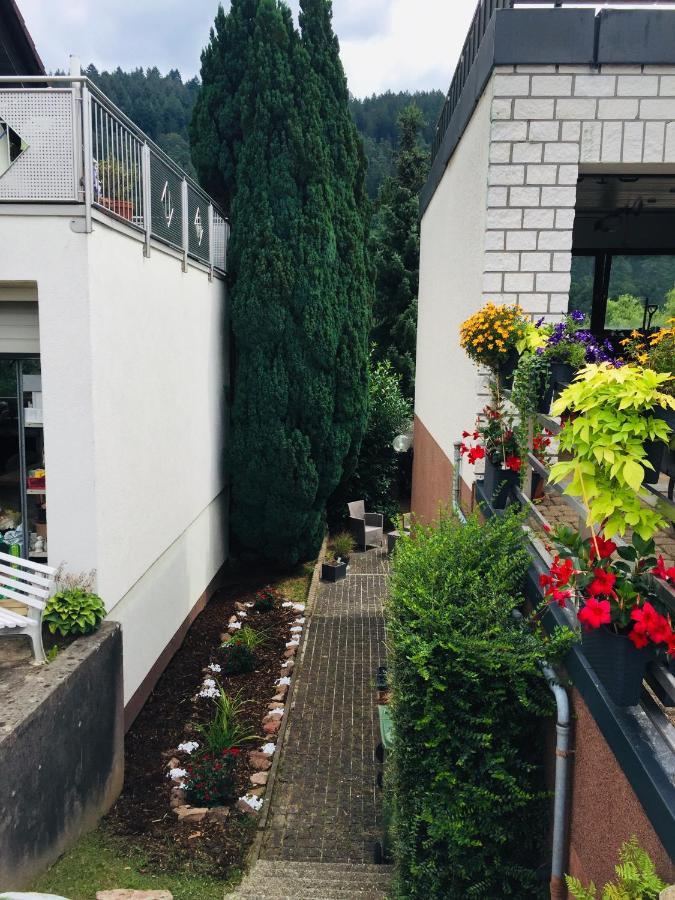Apartamento Luftkurort, Perle Des Neckartals Hirschhorn Exterior foto