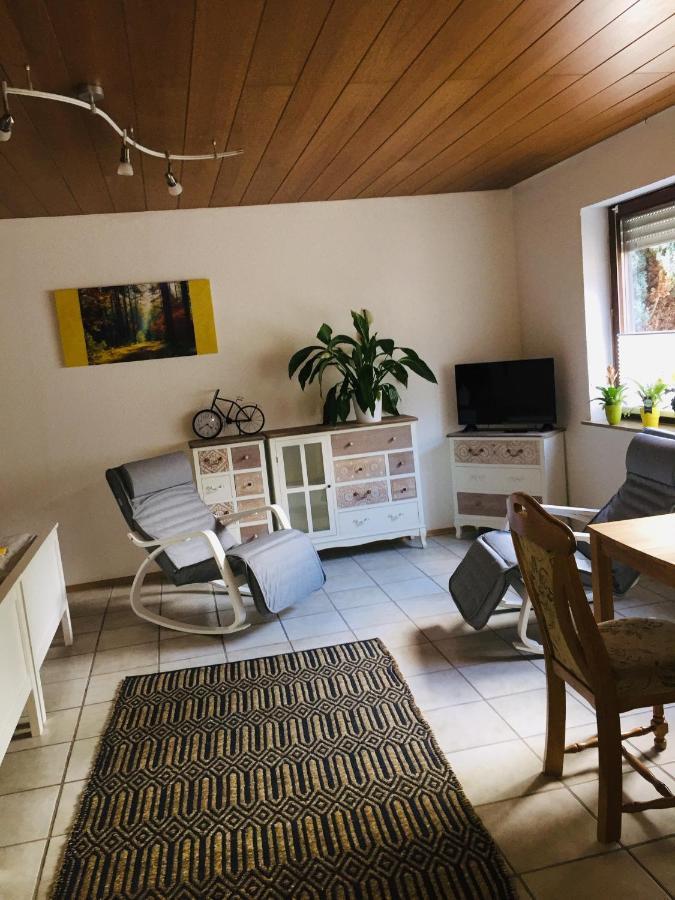 Apartamento Luftkurort, Perle Des Neckartals Hirschhorn Exterior foto