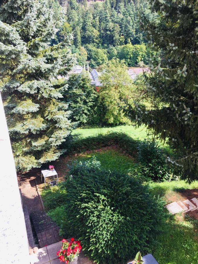 Apartamento Luftkurort, Perle Des Neckartals Hirschhorn Exterior foto