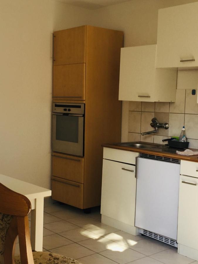 Apartamento Luftkurort, Perle Des Neckartals Hirschhorn Exterior foto