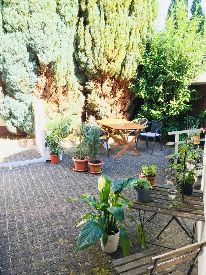 Apartamento Luftkurort, Perle Des Neckartals Hirschhorn Exterior foto