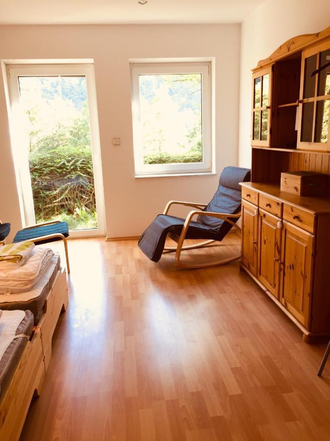 Apartamento Luftkurort, Perle Des Neckartals Hirschhorn Exterior foto