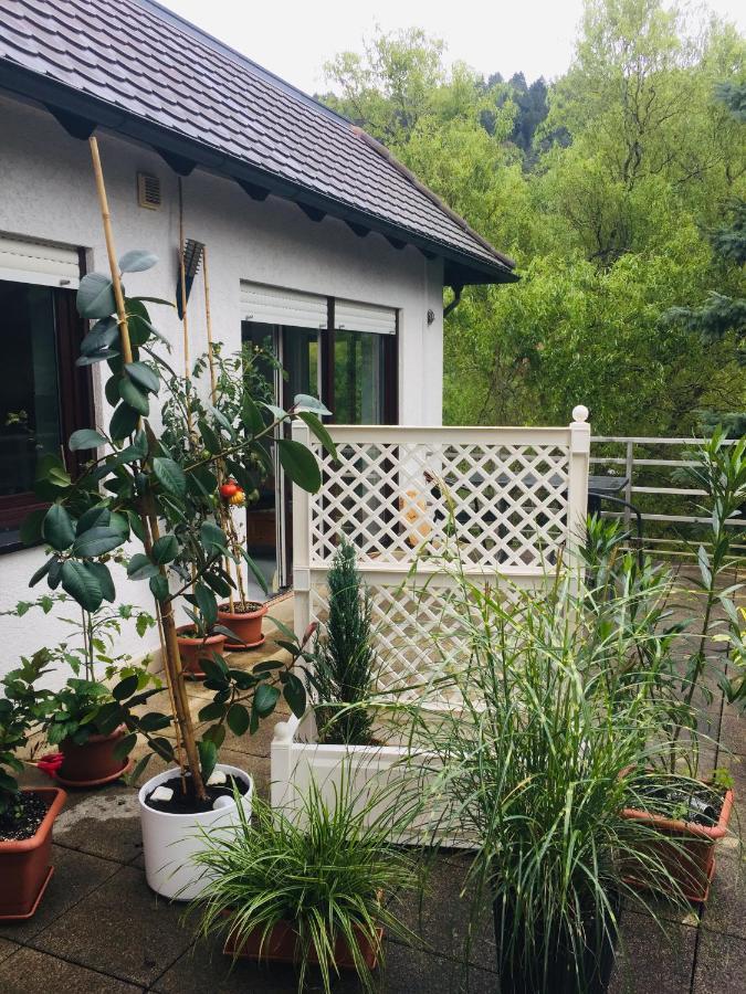 Apartamento Luftkurort, Perle Des Neckartals Hirschhorn Exterior foto