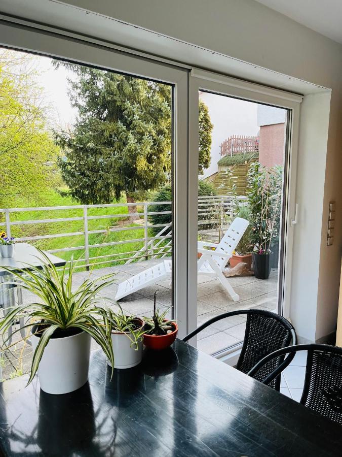 Apartamento Luftkurort, Perle Des Neckartals Hirschhorn Exterior foto